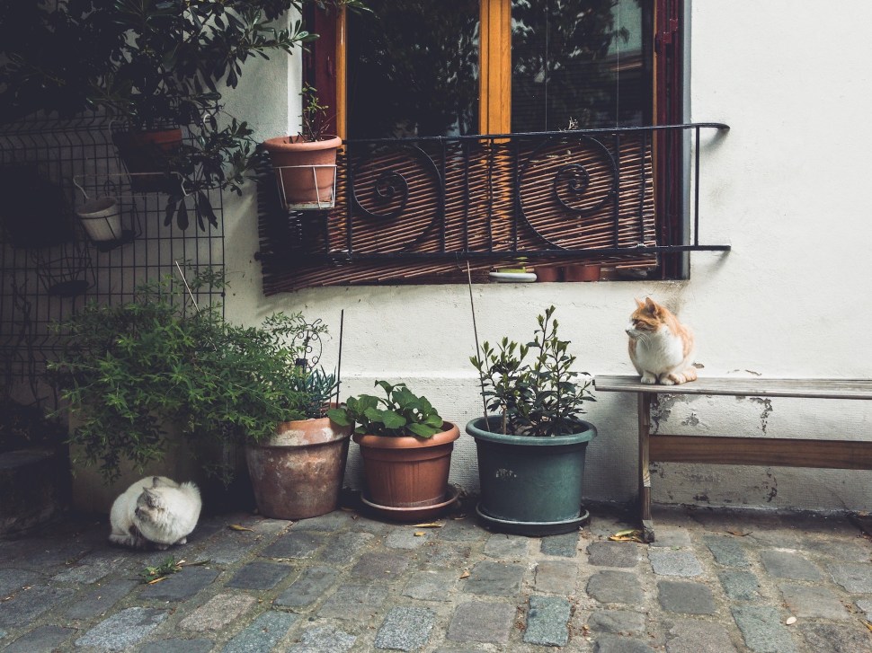 6850ED9E-F084-413D-8E64-12DDF9574C3E