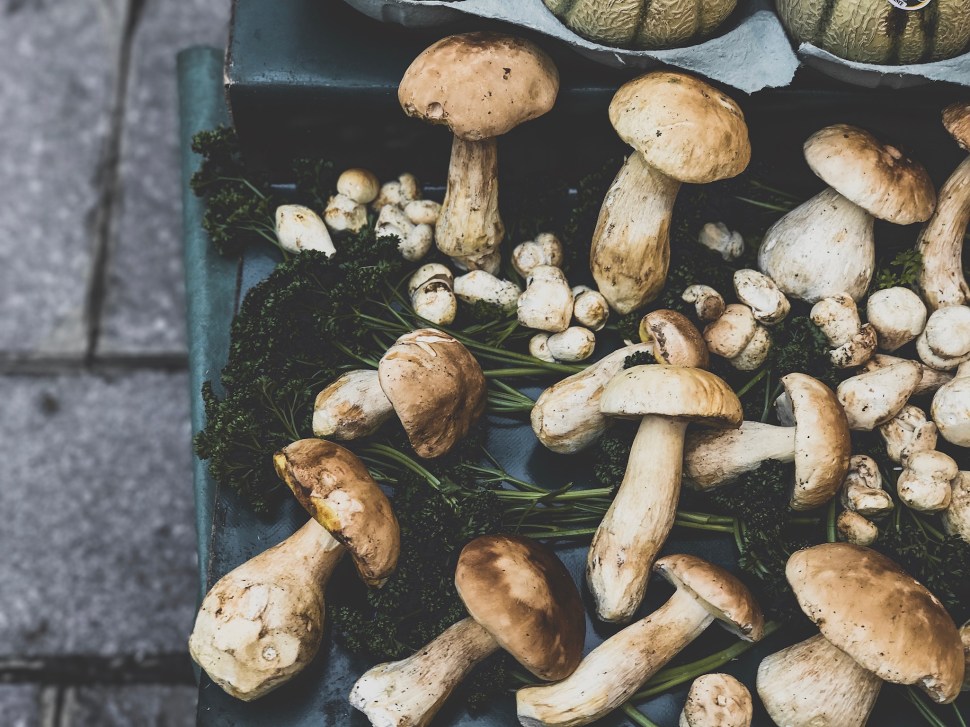 E0B7D0C1-CE0C-4ED2-BC50-FD9C5B01D866