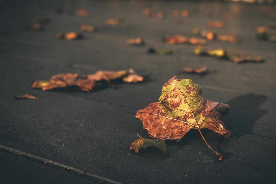 Processed with VSCO with t1 preset