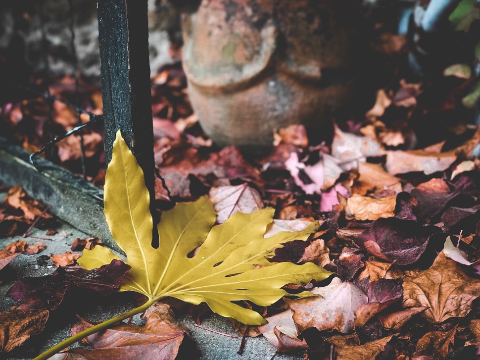 650A85D5-11F6-4059-8751-A7705B41A3BF