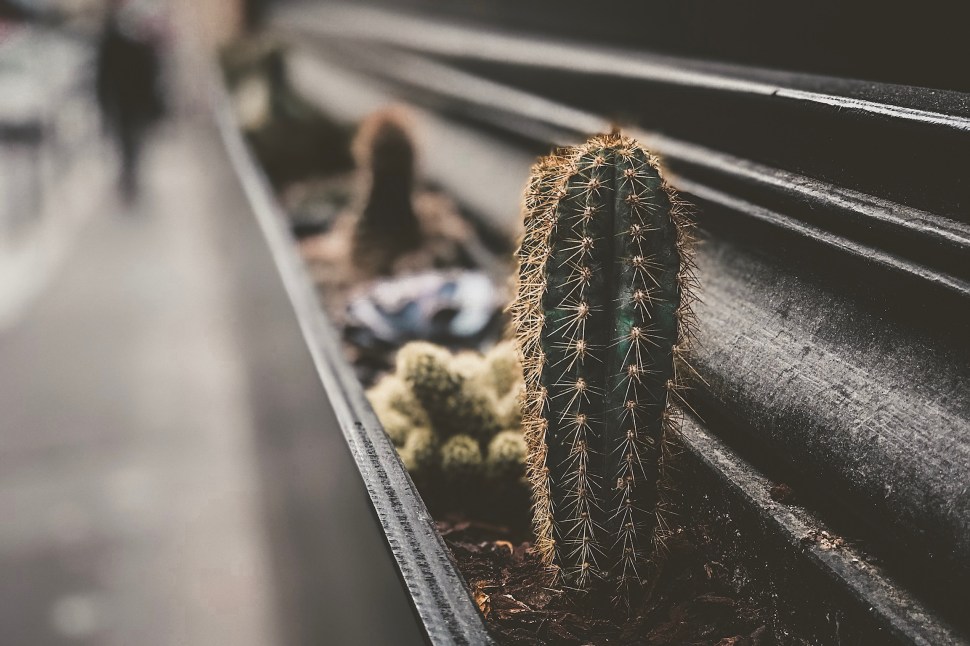 8FD92234-7DA0-4AB2-9DC5-2F1BD18B0E1D