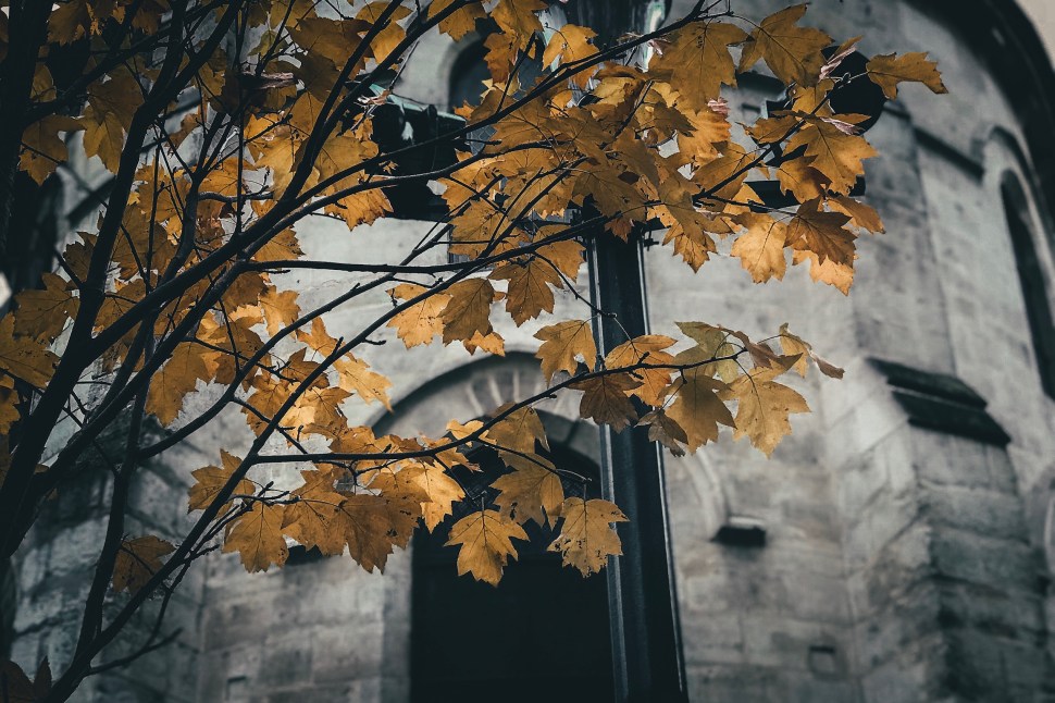 A3E07A01-83E6-4844-8859-F5209408B187