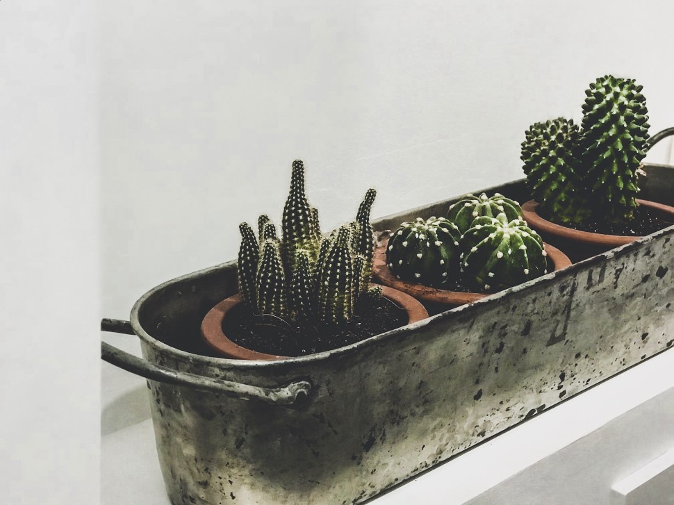 13CE5FAA-F1DD-4A85-AD24-C6C097996BD3