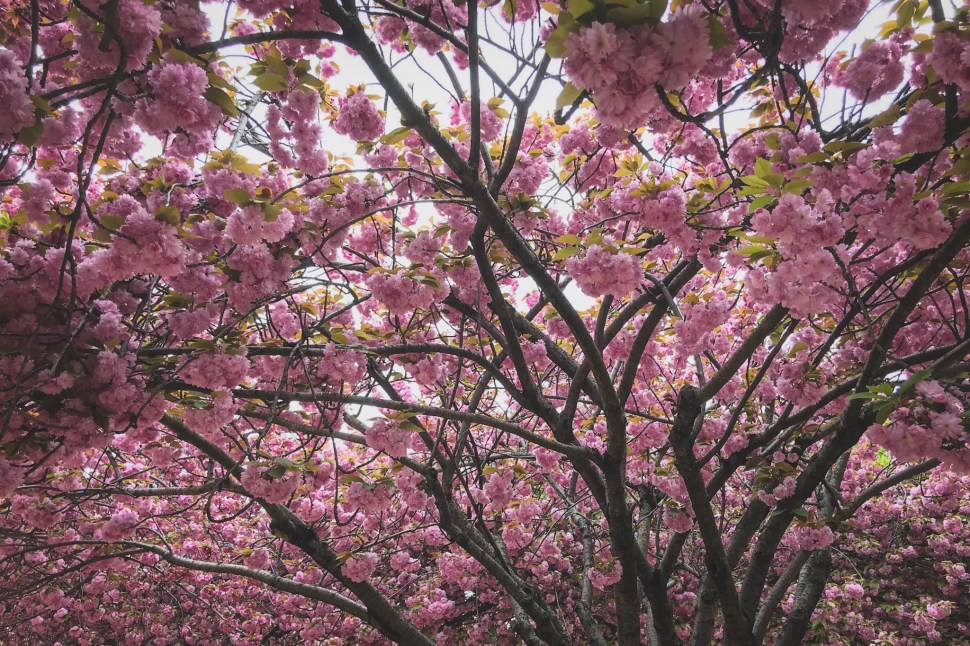 09A34FA6-1EB6-45E1-831A-01EE6673BE2F