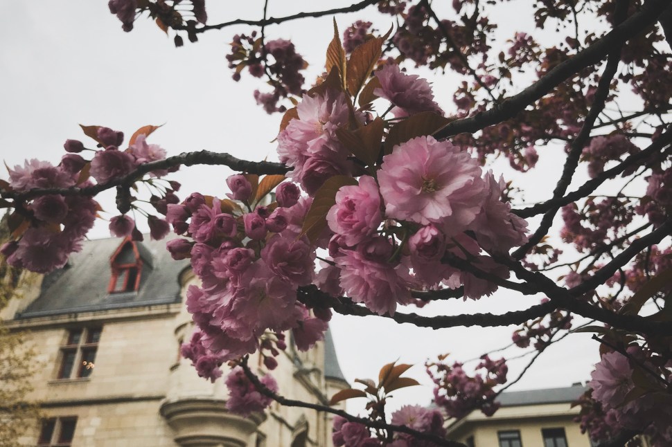 104B93DA-DC9E-46BB-9413-5545FF0A84F3