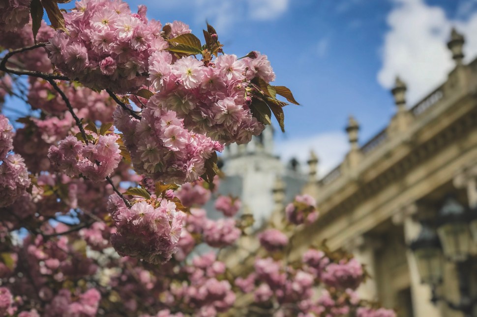 2606B5C0-7863-4BD3-8CE0-9205FA91B26B