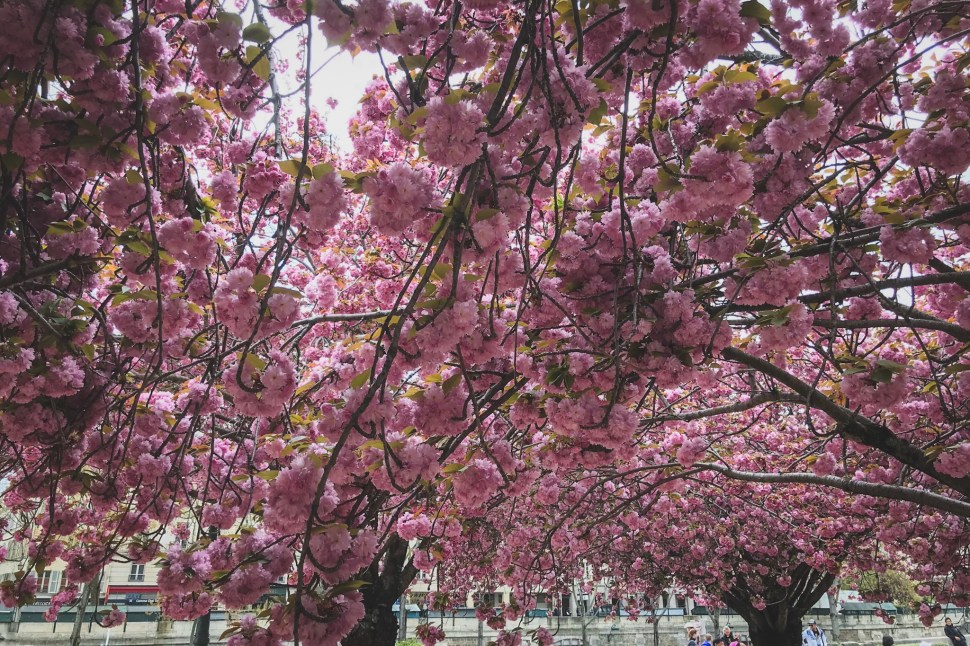 29BA438C-A8A7-4464-9746-584289046546