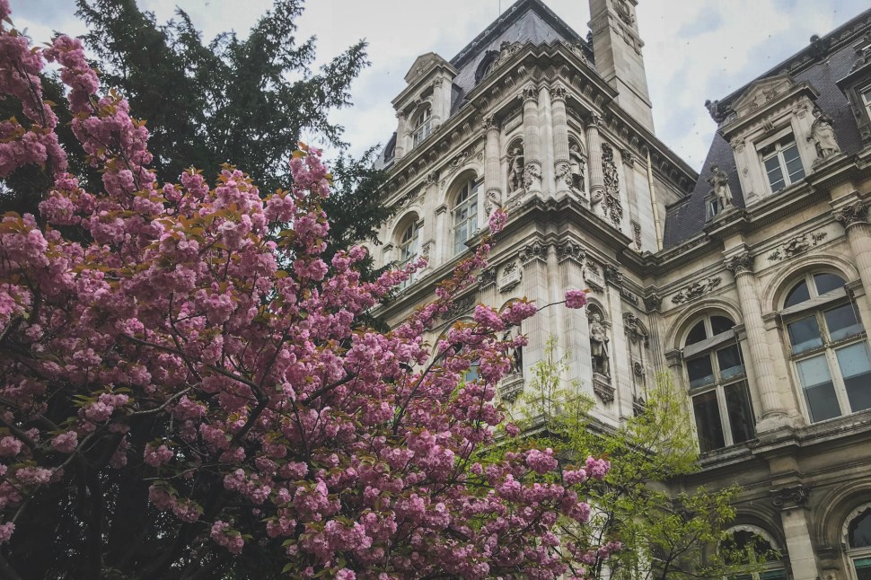 36F563BD-2AEE-4358-87D0-F77C7A883C76