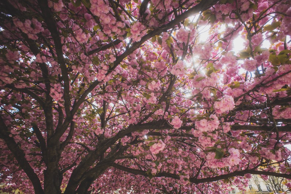 40F5AEB7-376D-4751-9AC1-D1D0F1007869