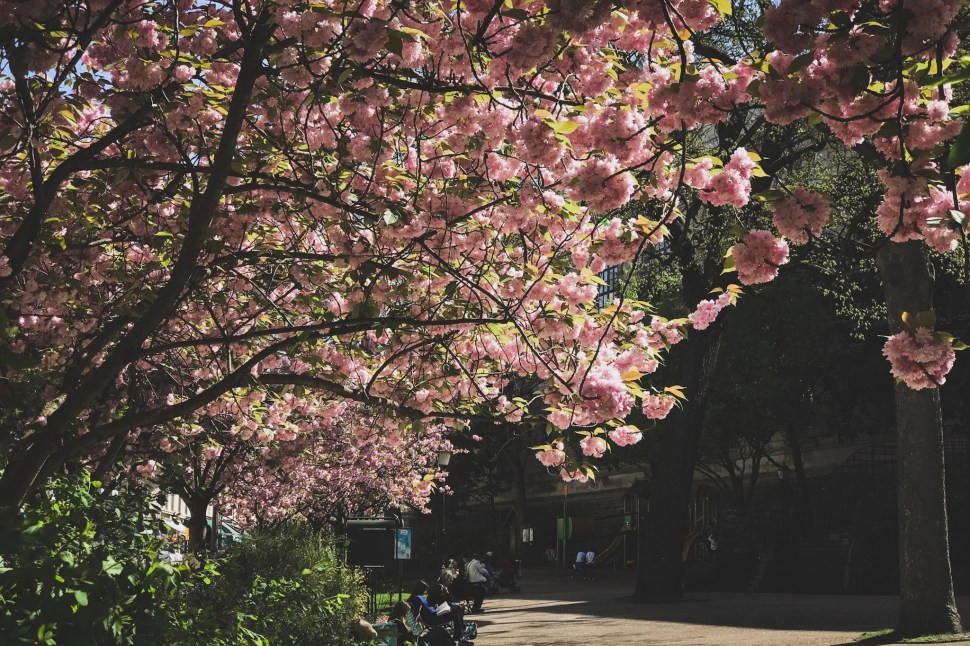 43E5E243-C374-43D5-8A4D-F4431EFEA23C