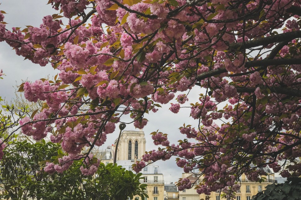 4D7E43D8-F5EE-4460-82DA-8107EF32A37F