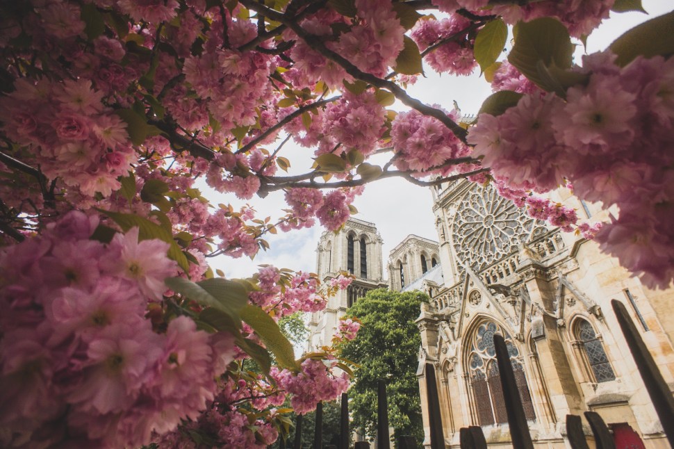 75551A4E-01F1-43F9-985F-574EED8B4DBD