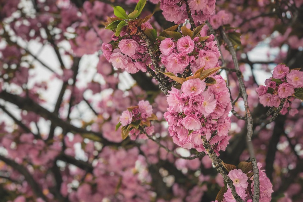 90D23752-33A5-42F8-BBD6-992983210739