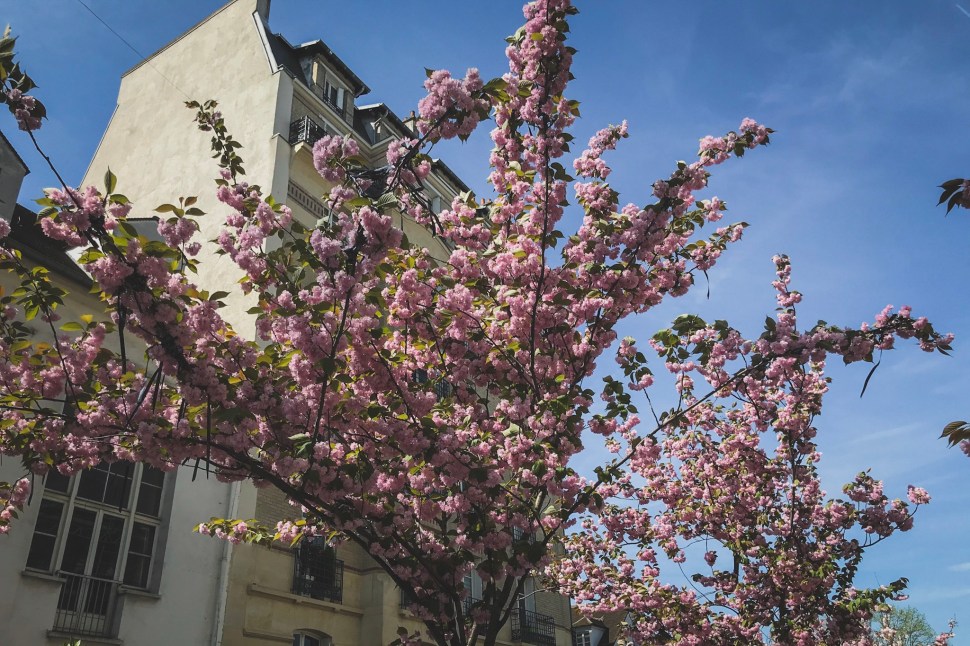 AAD4D9B0-4A1B-429A-98FC-B7C6D71ACB34