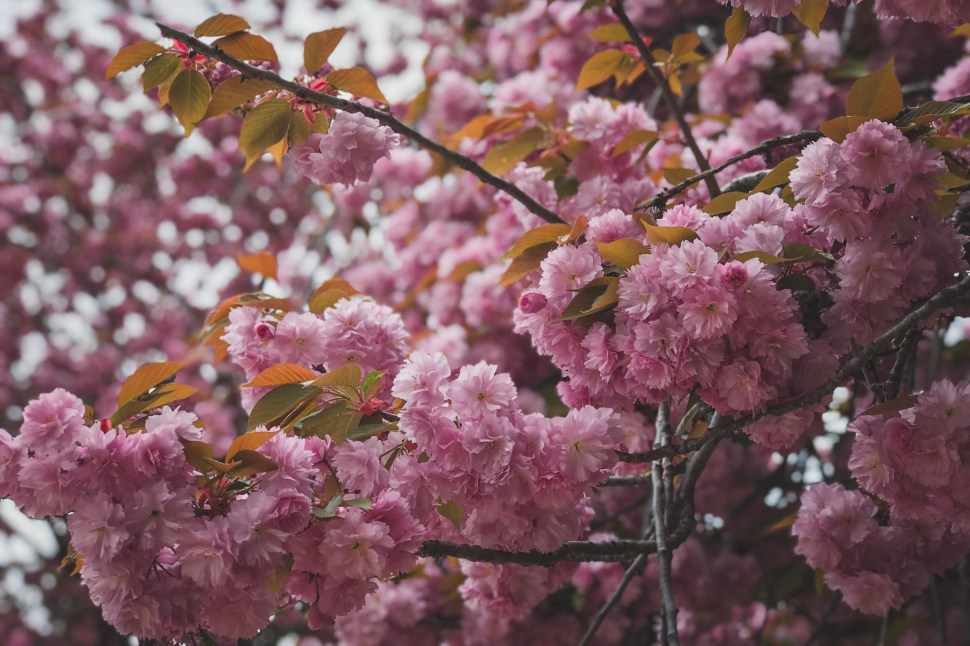 B3148D99-1B1A-4994-8AA2-5884571D0300