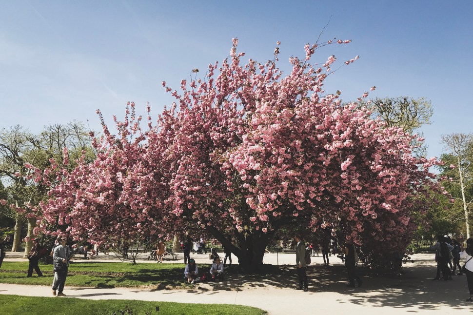 B8612A32-F201-4605-A2B3-45DA4DC98BA1