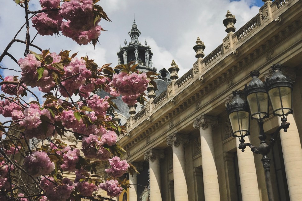 C2421C4E-F44D-4F95-A7F5-A6D5682588DD