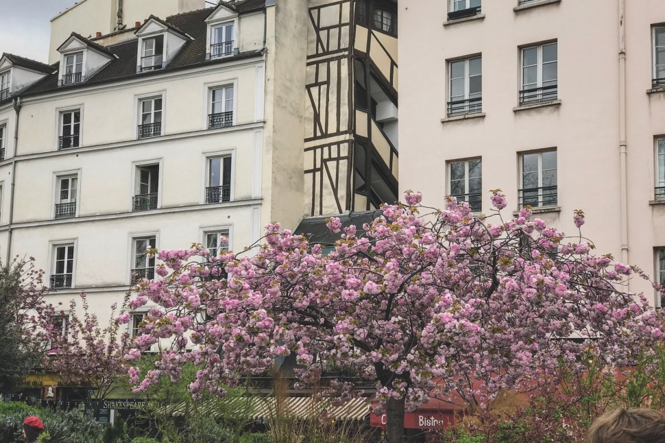 C5D00D18-DBCC-4DCD-BF3F-719903DBBAD7