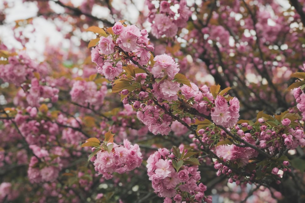 D6EBA219-37B3-49F5-A043-E0F91796C809