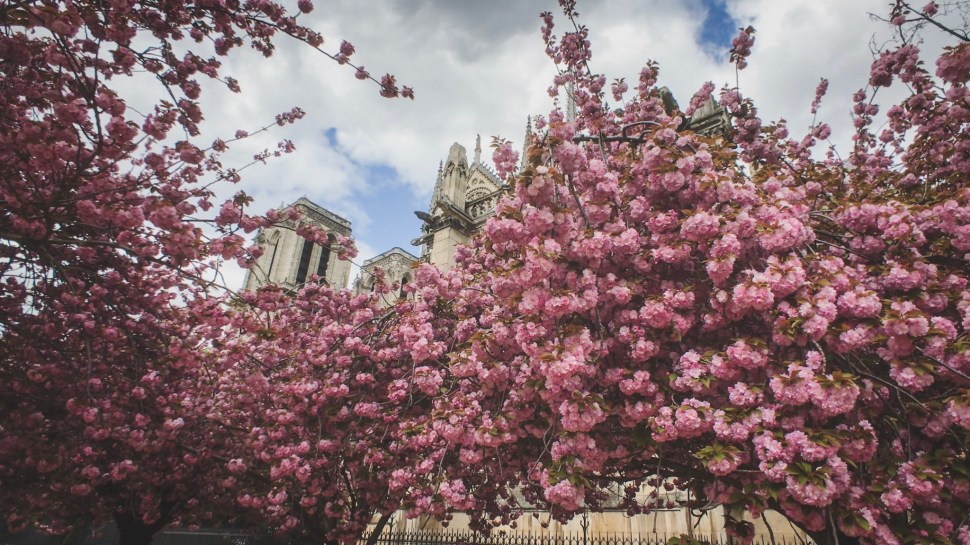 D8B37789-CD67-4C9E-8CFB-C5F506739070