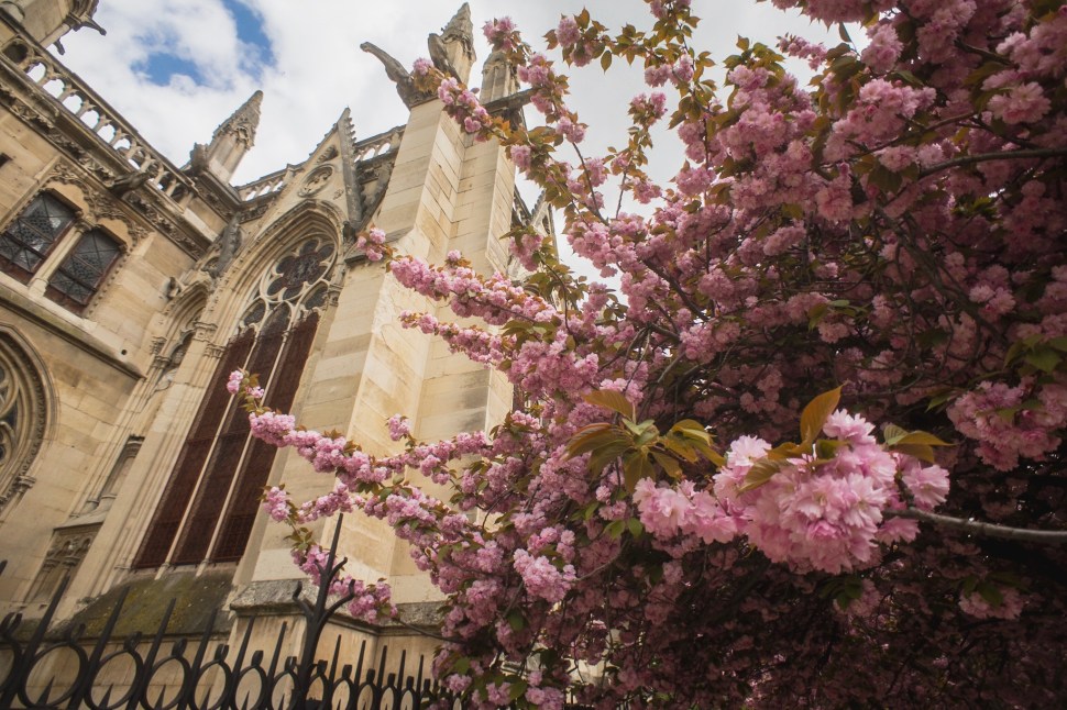 E8A90947-1546-4EA6-876F-B2AF9DFA15D4